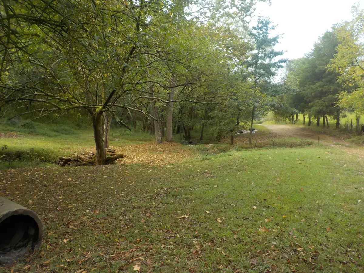 0 Rogues Fork Road, Bethpage, TN 37022 - #1