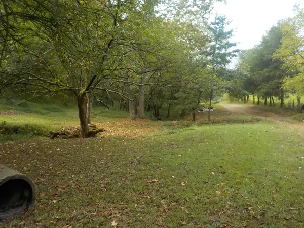 0 Rogues Fork Road, Bethpage, TN 37022