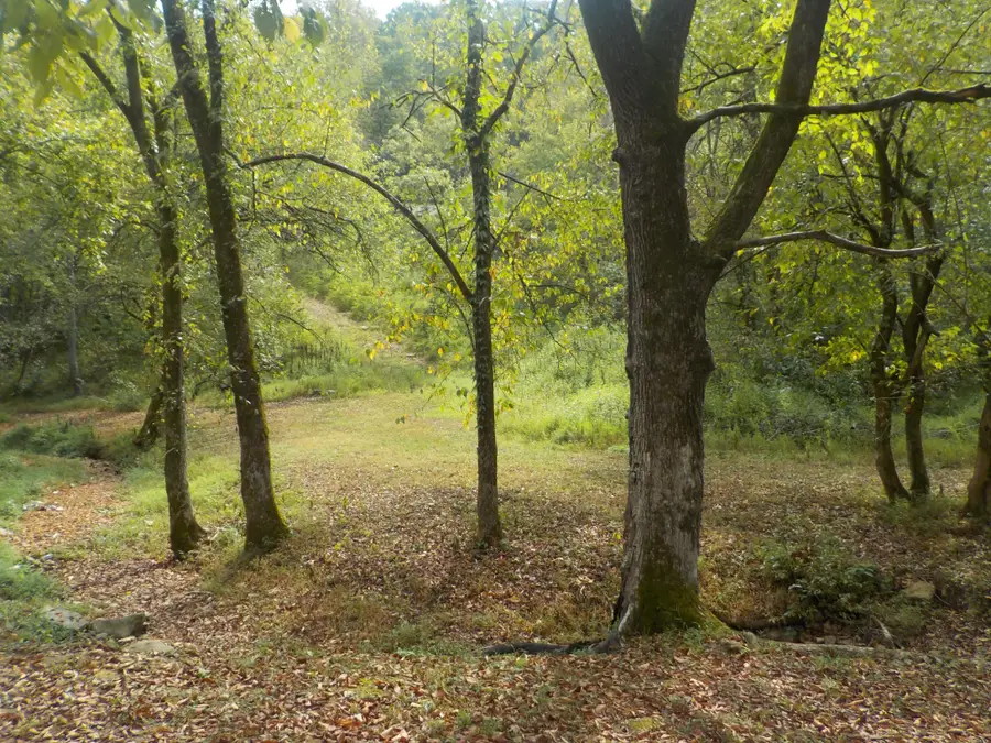 0 Rogues Fork Road, Bethpage, TN 37022 - #3