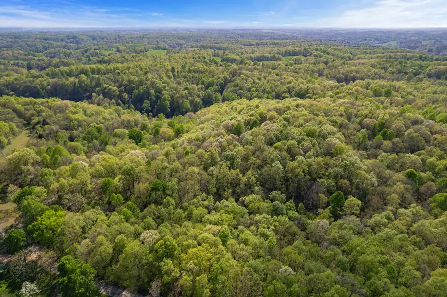 1555 Dog Hollow Road, Lynnville, TN 38472 - #2