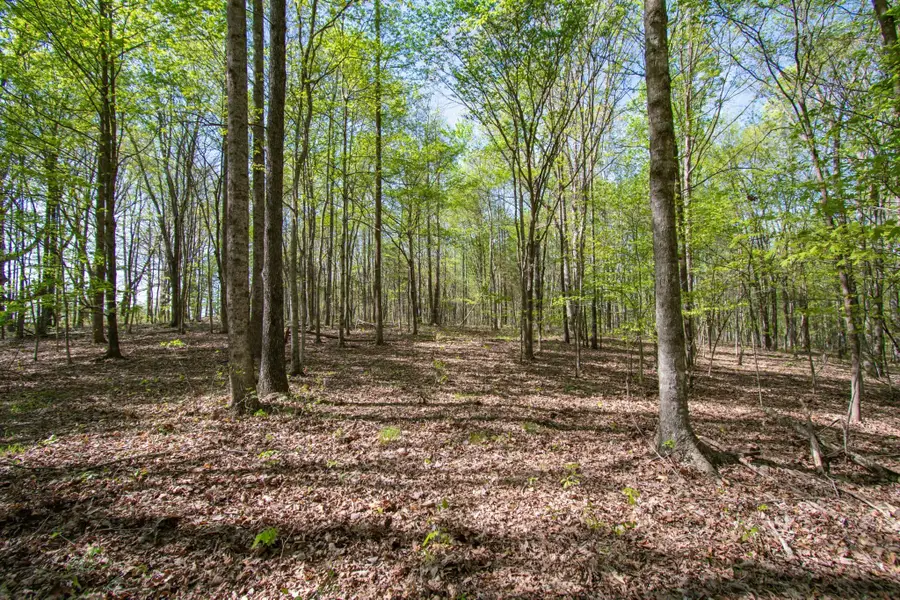 1555 Dog Hollow Road, Lynnville, TN 38472 - #3