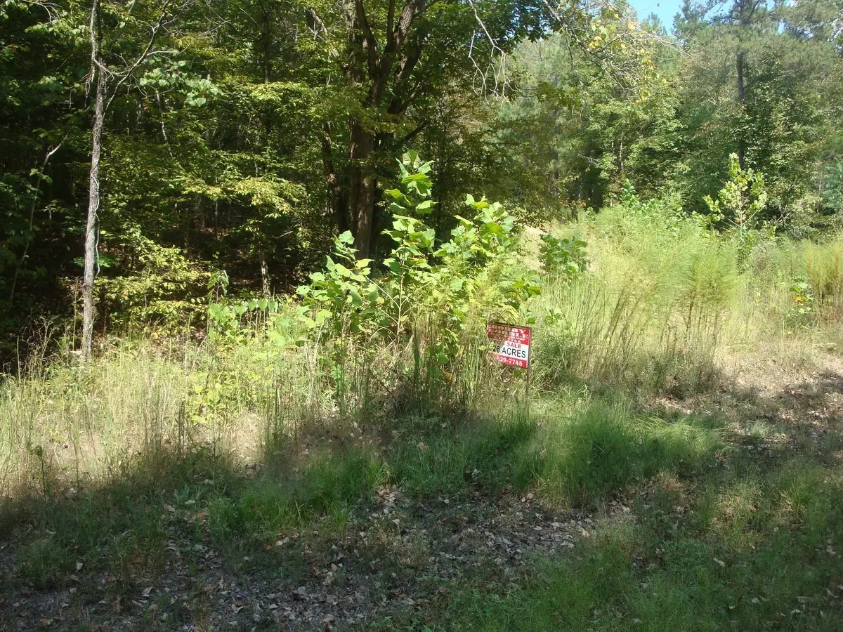 561 Allens Creek Rd, Hohenwald, TN 38462 - #1