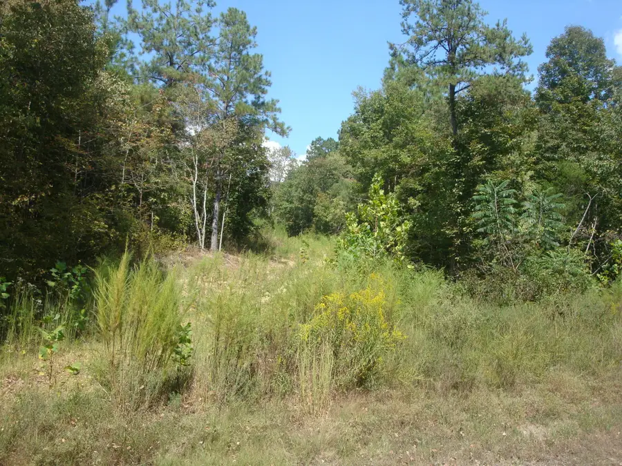 561 Allens Creek Rd, Hohenwald, TN 38462 - #2