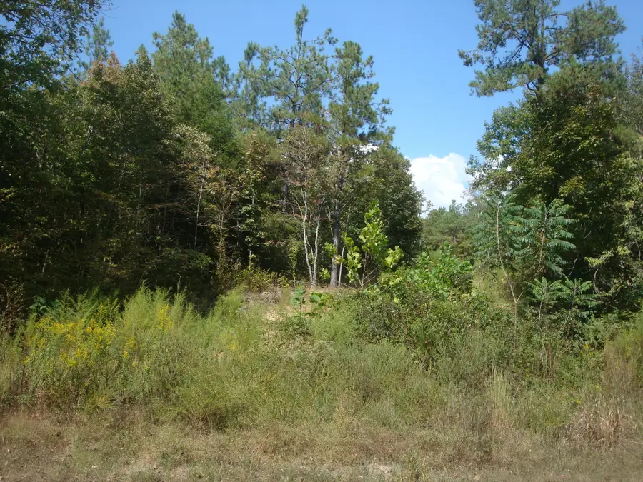 561 Allens Creek Rd, Hohenwald, TN 38462 - #3