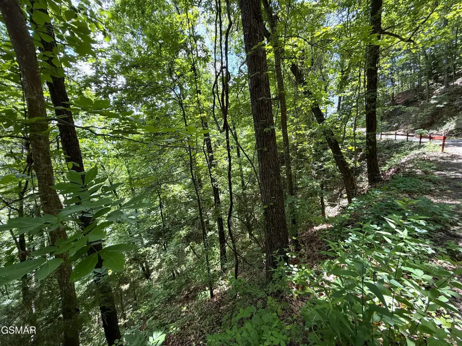 23 Aintree Drive, Sevierville, TN 37876 - #3