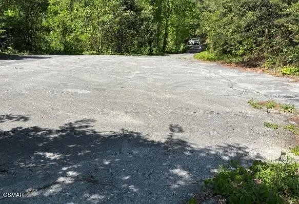 746 Ski Mountain Road, Gatlinburg, TN 37738 - #3