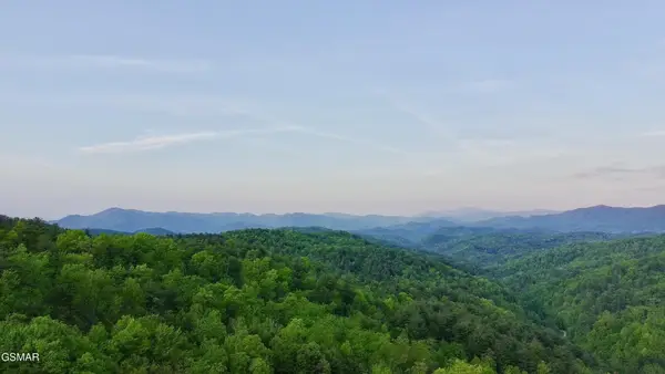 41 Black Maple Way, Del Rio, TN 37727