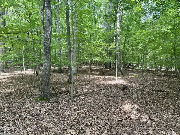 8 Woods Ridge Road, Dandridge, TN 37725
