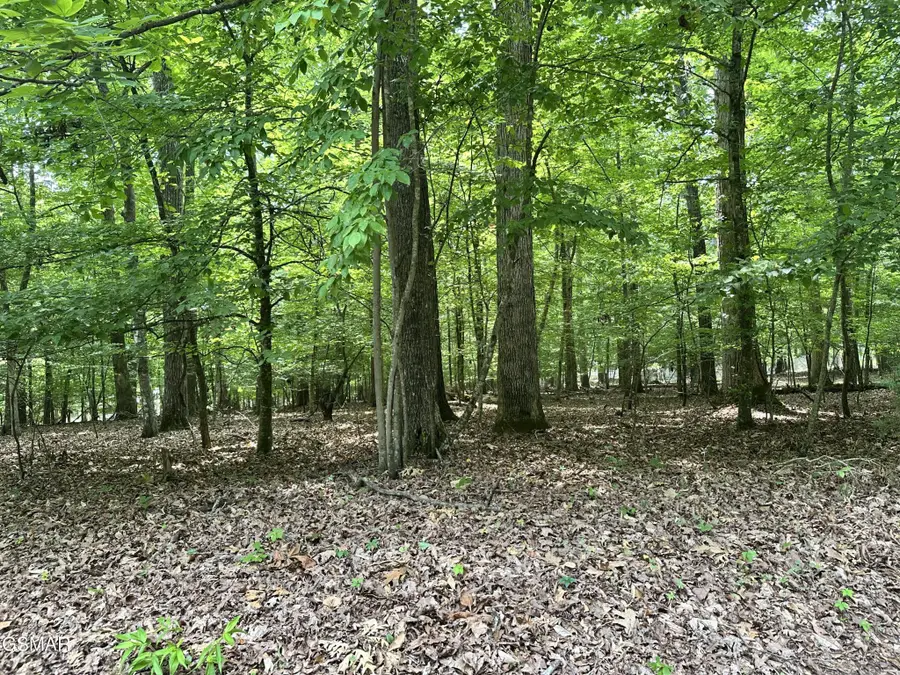 8 Woods Ridge Road, Dandridge, TN 37725 - #2
