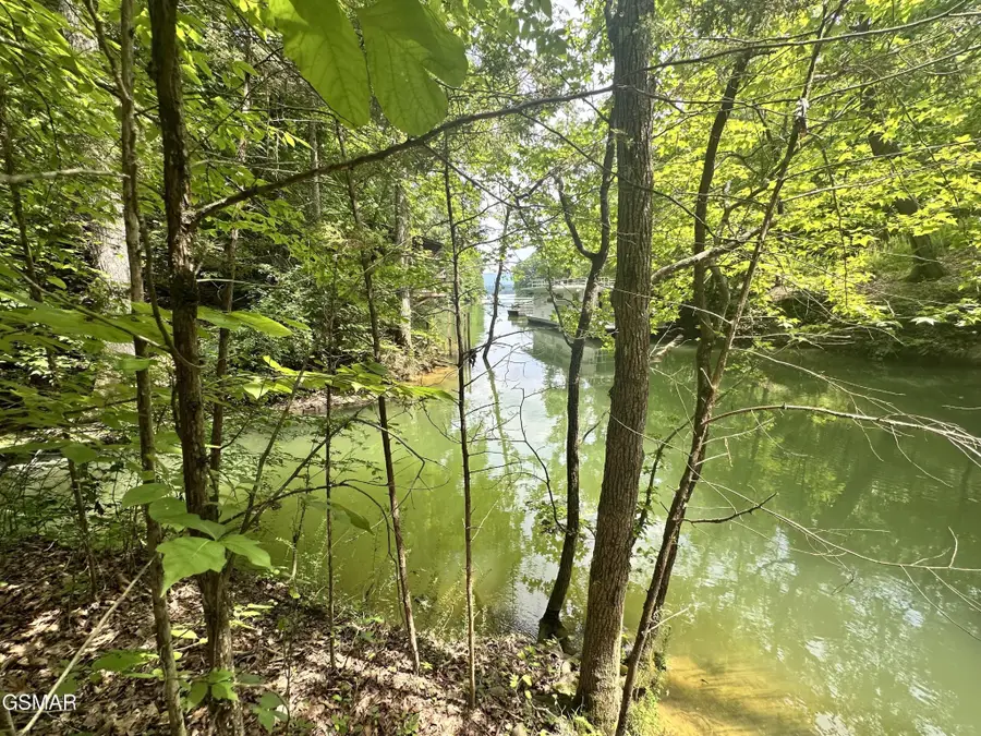 8 Woods Ridge Road, Dandridge, TN 37725 - #3