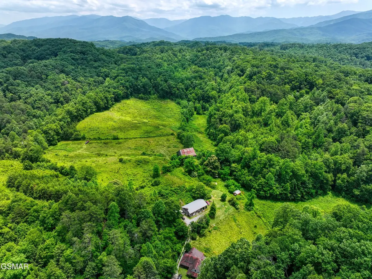 14255 Lower Powdermill Road, Sevierville, TN 37876 - #1