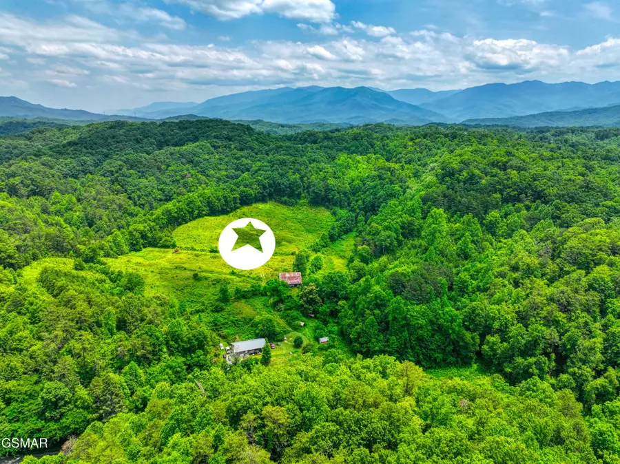 14255 Lower Powdermill Road, Sevierville, TN 37876 - #2