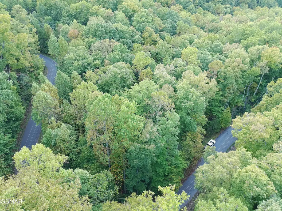 27 Pinnacle Vista Road, Gatlinburg, TN 37738 - #1