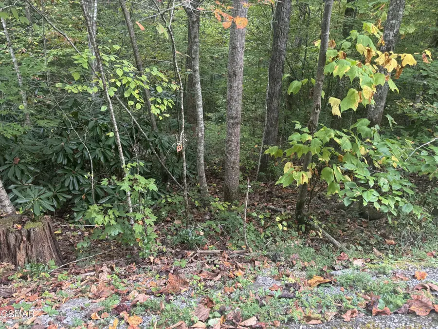 27 Pinnacle Vista Road, Gatlinburg, TN 37738 - #3