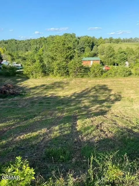 2644 East Flat Creek Boulevard, Sevierville, TN 37876 - #3