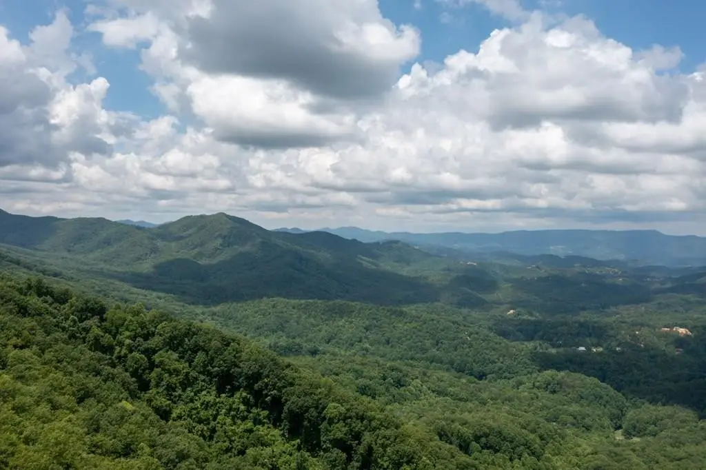 19 Laurel Top Way, Gatlinburg, TN 37738 - #1