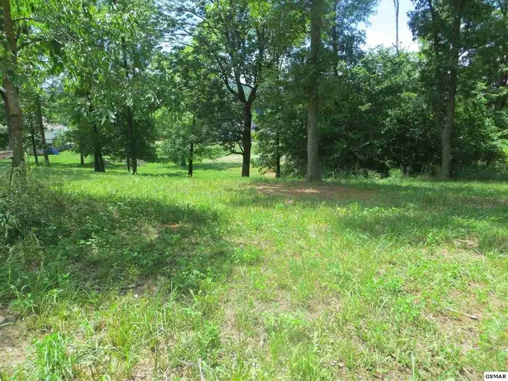 0 Chances Ridge Drive, Sevierville, TN 37876 - #1