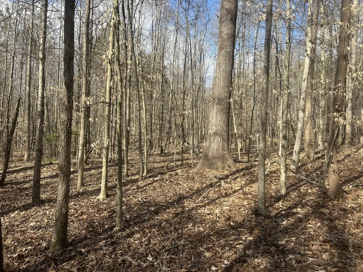 0 Mt Carmel Rd, Camden, TN 38320 - #1
