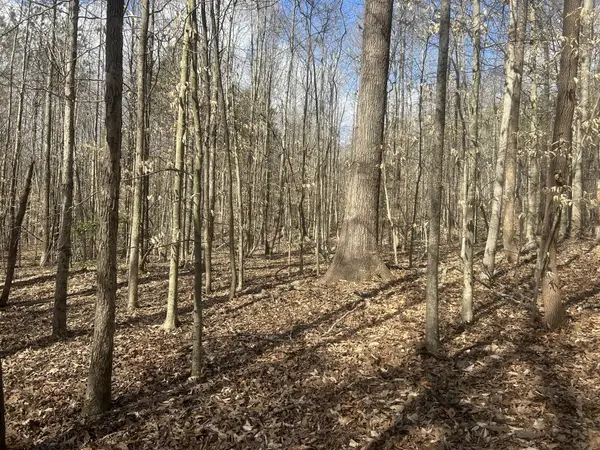 0 Mt Carmel Rd, Camden, TN 38320
