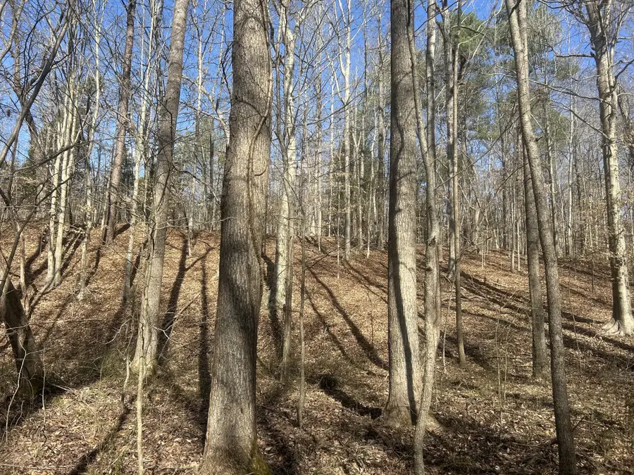 0 Mt Carmel Rd, Camden, TN 38320 - #3