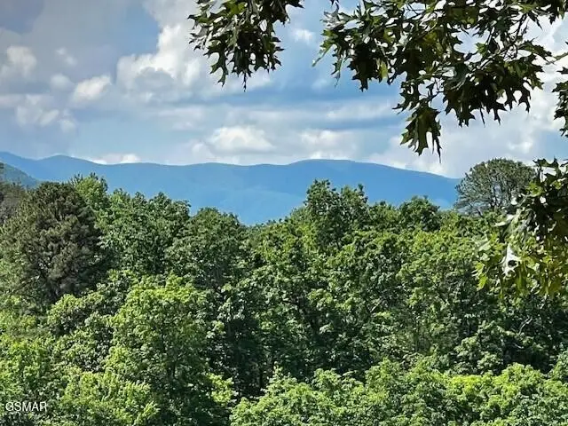 430 Sugar Maple Loop, Sevierville, TN 37862 - #2