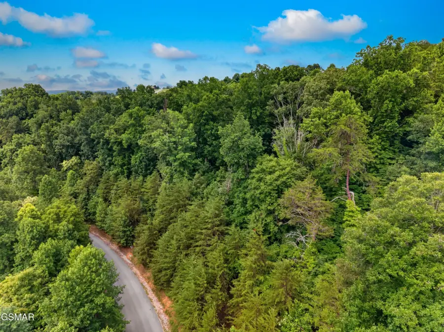 452 Silver Trail, New Tazewell, TN 37825 - #3