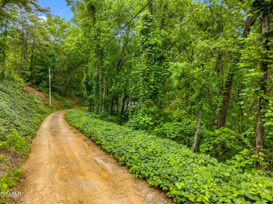 9 Red Bone Way, Sevierville, TN 37876 - #2