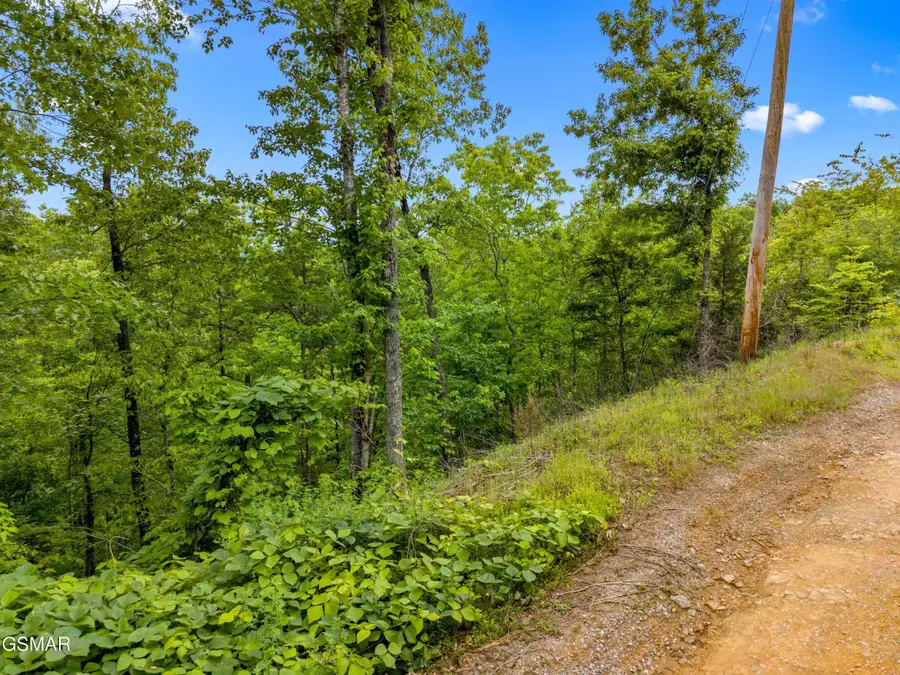 9 Red Bone Way, Sevierville, TN 37876 - #3