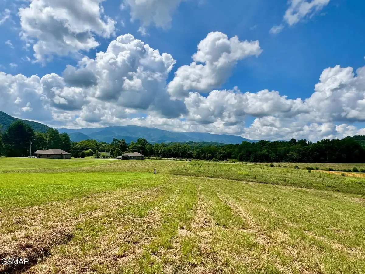 5418 Cocke County Line Road, Cosby, TN 37722 - #1