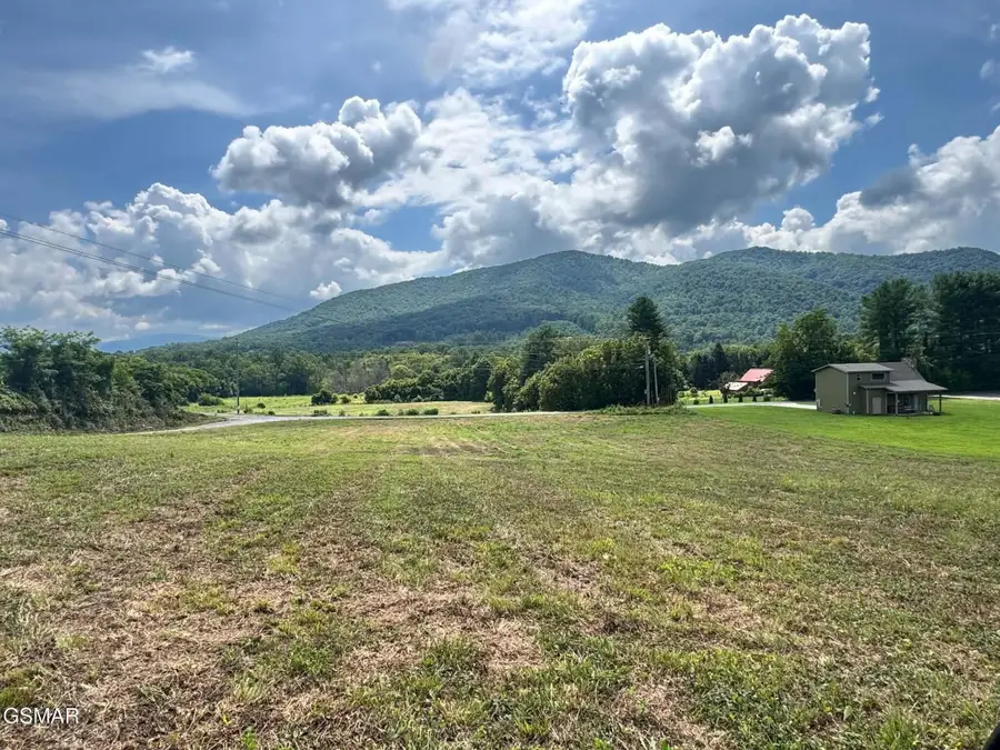 5418 Cocke County Line Road, Cosby, TN 37722 - #3
