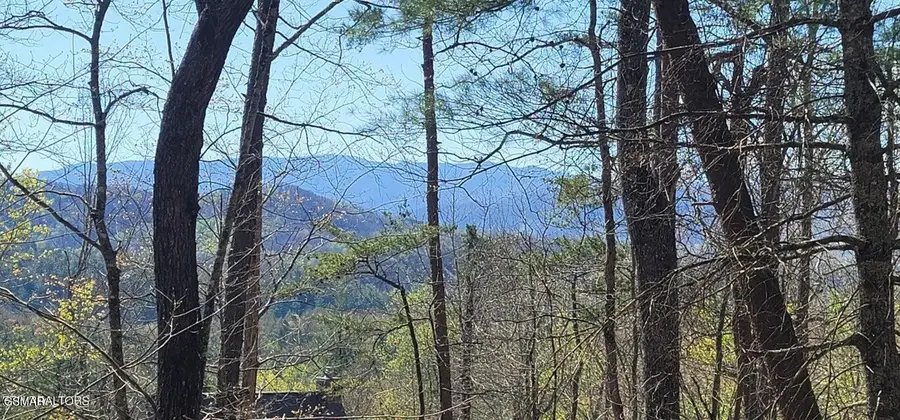 0 Chinquapin Drive, Sevierville, TN 37862 - #2