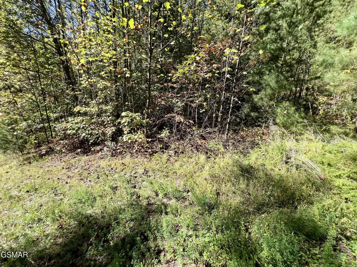 561 Creek Hollow Way, Sevierville, TN 37876 - #1