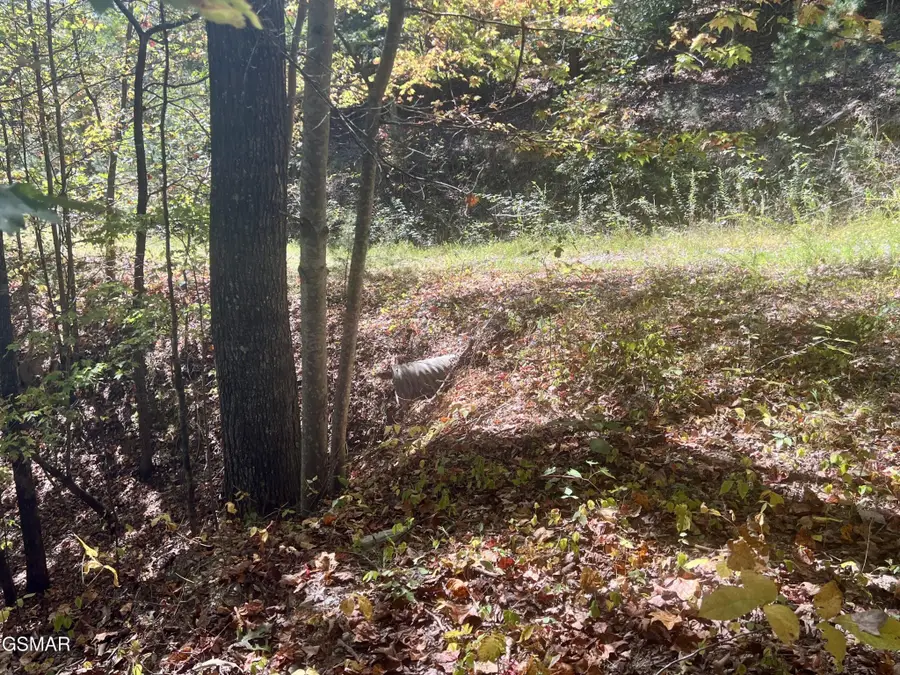 561 Creek Hollow Way, Sevierville, TN 37876 - #3