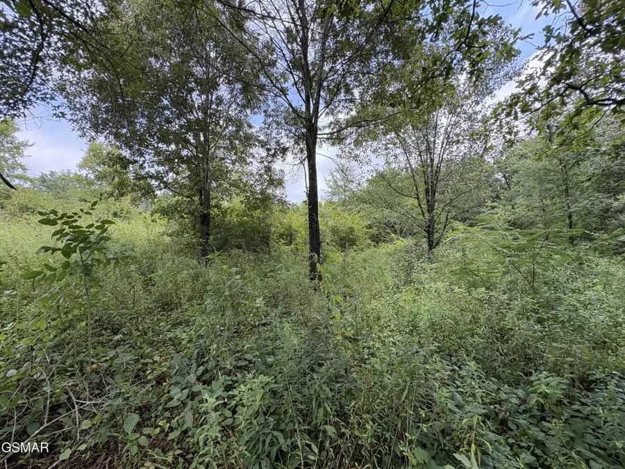 4 Midway Road, Strawberry Plains, TN 37871 - #3