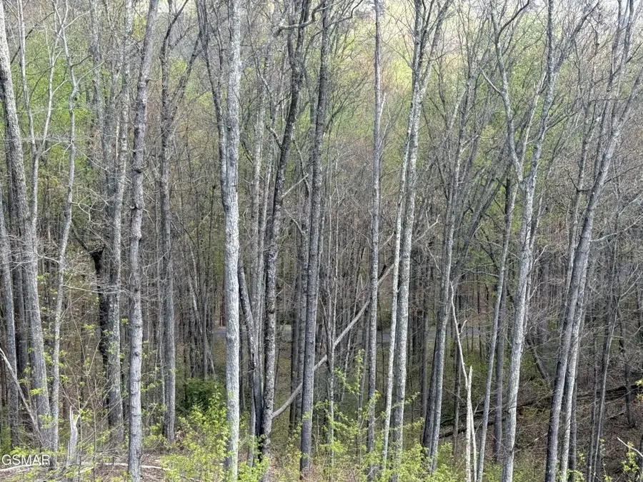 1440 Laurel Road, Gatlinburg, TN 37738 - #3