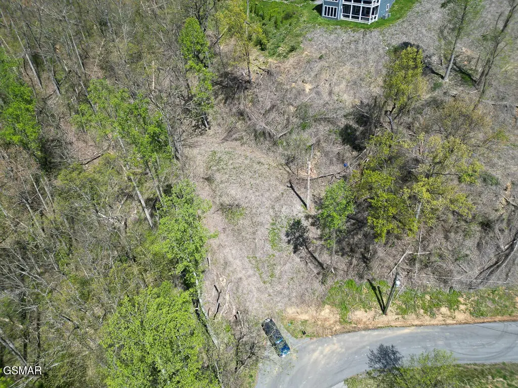 837 Clabo Loop, Gatlinburg, TN 37738 - #1