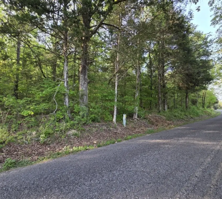 0 Red Bank Creek Road, Lobelville, TN 37097 - #1