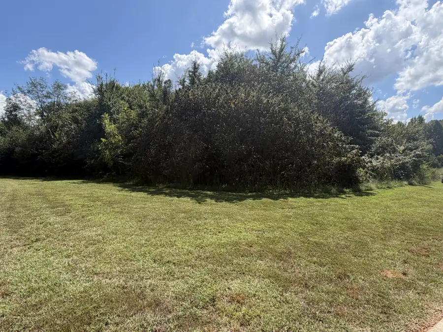0 Falcon Trail, Vonore, TN 37885 - #2