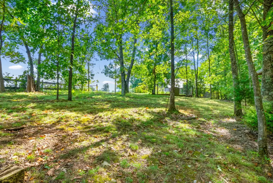 4732 Lylewood Road, Indian Mound, TN 37079 - #2