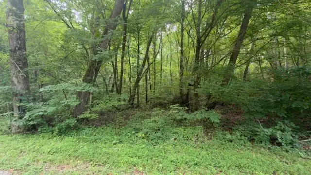 0 Brush Creek Rd, Lawrenceburg, TN 38464 - #1