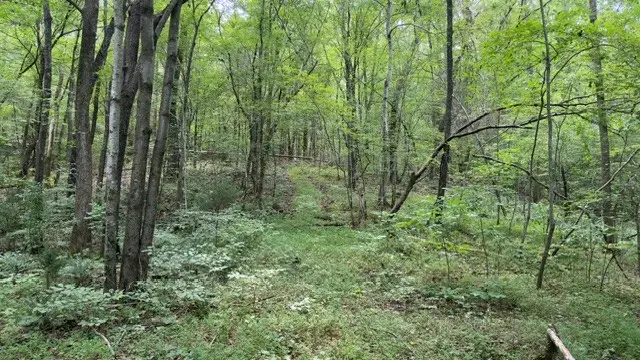 0 Brush Creek Rd, Lawrenceburg, TN 38464 - #3