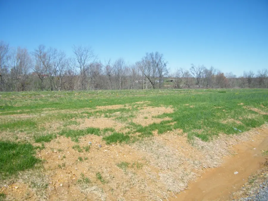 223 Daniel Lane, Westmoreland, TN 37186 - #3