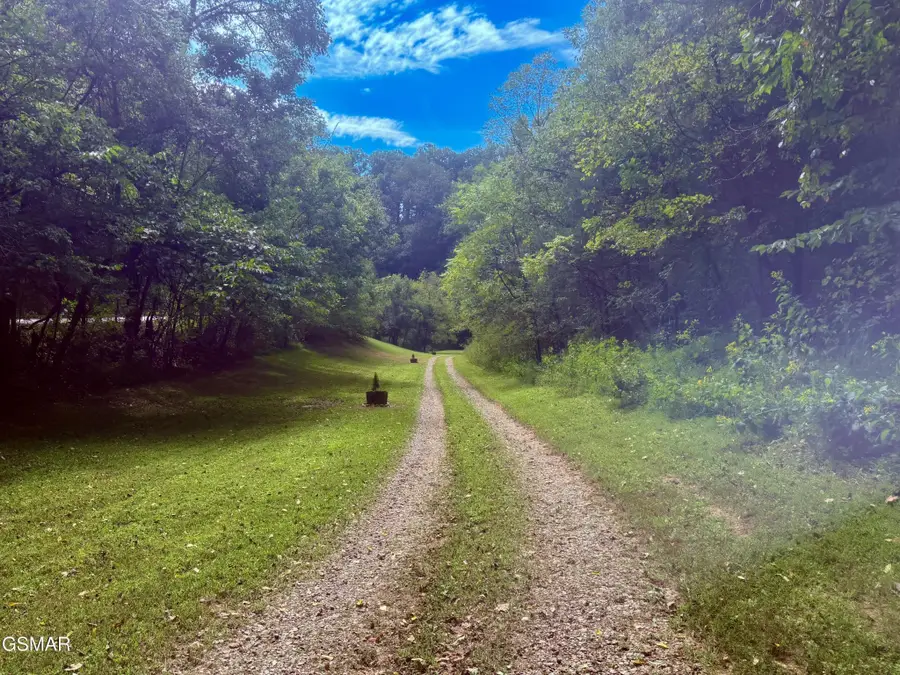 2073 Oven Creek Road, Parrottsville, TN 37843 - #3