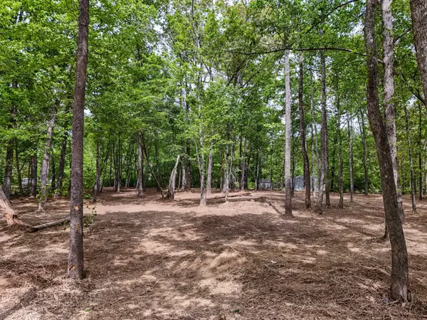 0 Lakewood Dr, Beechgrove, TN 37018