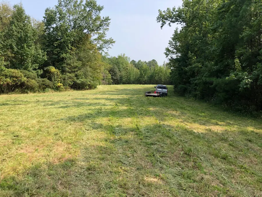 255 Mcbride Cemetery Rd, Sardis, TN 38371 - #2