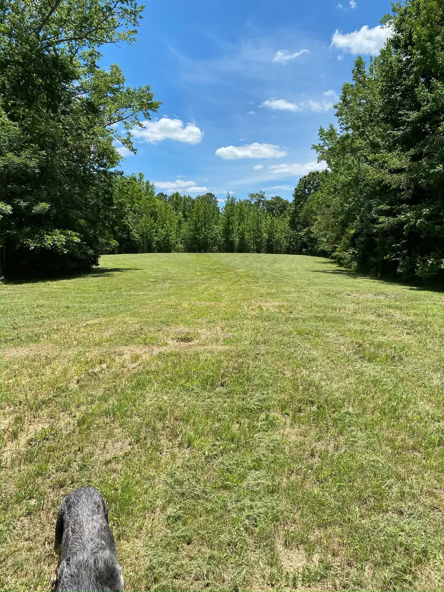 255 Mcbride Cemetery Rd, Sardis, TN 38371 - #3