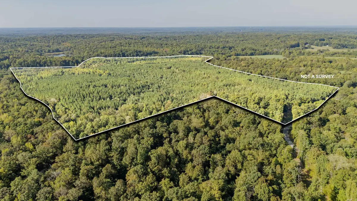 1 Baudy James Rd, Cedar Grove, TN 38321 - #1