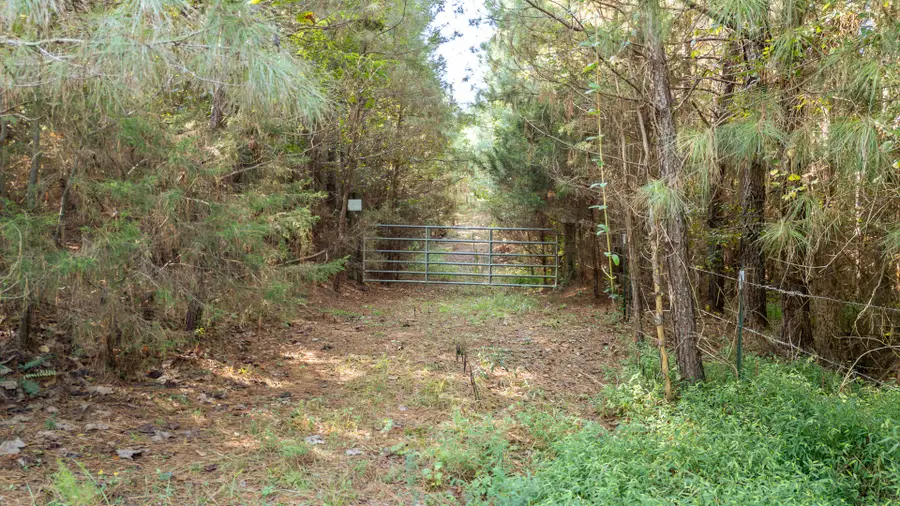 1 Baudy James Rd, Cedar Grove, TN 38321 - #2