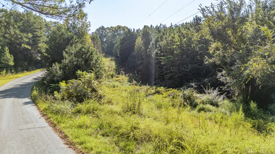 1 Baudy James Rd, Cedar Grove, TN 38321 - #3