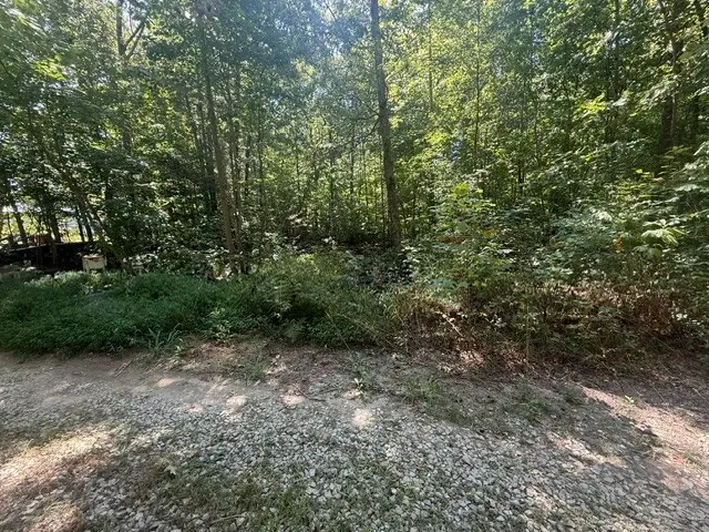 275 Thrill Hill Ln, Sparta, TN 38583 - #3